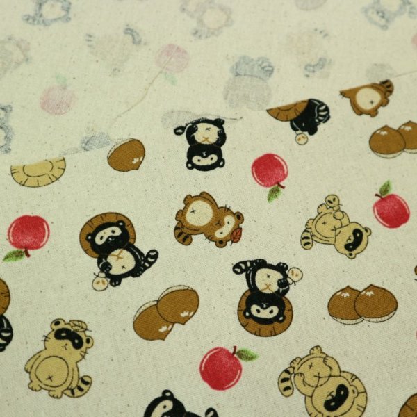 Photo2: ➖ 減價｜‼️不適用於 滿 $350 包郵 及 滿 $600 減 $30｜💢 灰、胚色 0.5y 現貨｜🇹🇼 台灣布｜厚棉｜強運狸貓｜動物｜🍎蘋果 栗子｜可愛小狸貓 (2)