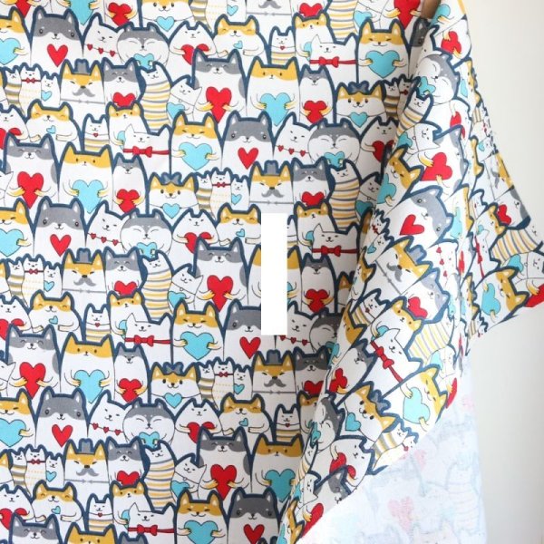 Photo3: ➖ 減價｜‼️ 不享 滿 $250 包郵 ‼️不享 滿 $600 減 $30｜💢 藍 0.5y 現貨｜🇹🇼 台灣製｜厚棉｜柴柴集合 (3)