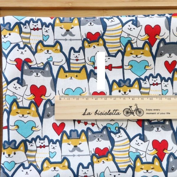 Photo2: ➖ 減價｜‼️ 不享 滿 $250 包郵 ‼️不享 滿 $600 減 $30｜💢 藍 0.5y 現貨｜🇹🇼 台灣製｜厚棉｜柴柴集合 (2)