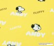 Photo1: 📮 買滿包郵｜💢非現貨｜🇯🇵 日本製｜牛津布｜Snoopy Japan Fabric｜Peanuts ｜2023  (1)