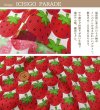 Photo2: 📮 買滿包郵｜💢 非 現貨｜🇯🇵 日本布｜薄棉｜草莓 strawberry｜2024年 06月 (2)