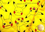 Photo8: 【1米 價格】🔵 日本製｜💢 非 現貨｜100%棉 牛津布｜POKEMON 比卡超 寶可夢 Pikachu｜2024年 7月 (8)