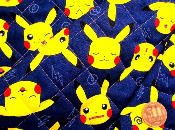 Photo7: 【1米 價格】🔵 日本製｜💢 非 現貨｜100%棉 牛津布｜POKEMON 比卡超 寶可夢 Pikachu｜2024年 7月 (7)