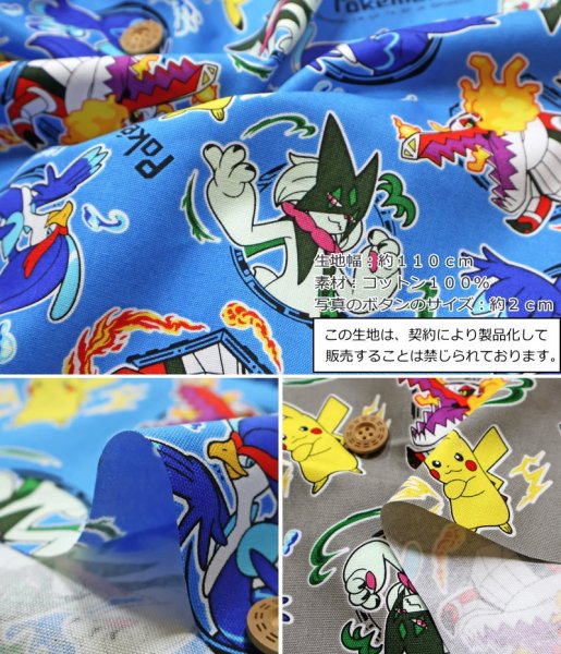 Photo5: 【1米 價格】🔵日本製｜💢 非 現貨｜🇯🇵 日本製｜100% 棉 ~ 牛津布｜Pokémon｜2024年 12月 (5)