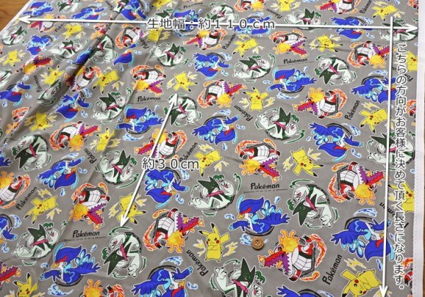 Photo2: 【1米 價格】🔵日本製｜💢 非 現貨｜🇯🇵 日本製｜100% 棉 ~ 牛津布｜Pokémon｜2024年 12月 (2)