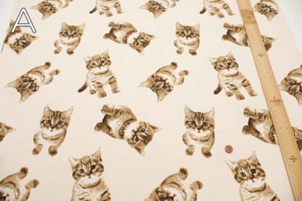 Photo2: 【1米 價格】🟡日本製｜💢 非 現貨｜🇯🇵 日本製｜100% 棉 ~ 牛津布｜貓 "圖案高度 約 10cm"｜2025年 01月 (2)