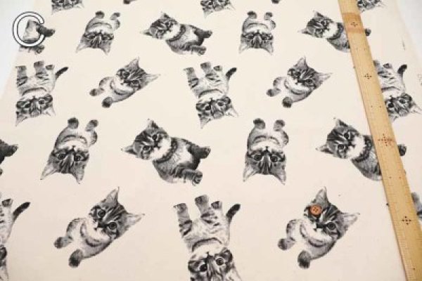 Photo4: 【1米 價格】🟡日本製｜💢 非 現貨｜🇯🇵 日本製｜100% 棉 ~ 牛津布｜貓 "圖案高度 約 10cm"｜2025年 01月 (4)