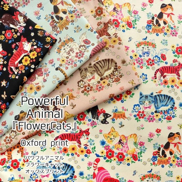 Photo3: 【1米 價格】日本製｜💢 非 現貨｜🇯🇵 日本製｜100% 棉 ~ 牛津布｜動物 花與貓 (3)