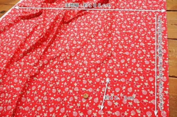 Photo5: 【1米 價格】🟫日本製｜💢 非 現貨｜🇯🇵 日本製｜100% 棉 ~ 薄棉｜Cherry & Apple (5)