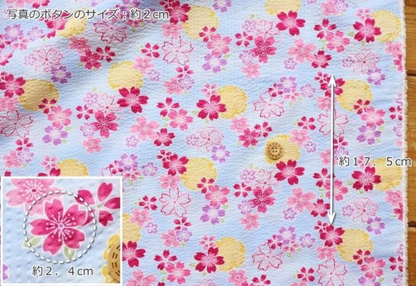 Photo4: 【1米 價格】🟫日本製｜💢 非 現貨｜🇯🇵 日本製｜100% 棉 波紋布｜和柄 和風 日式 櫻花｜2025年 3月 (4)