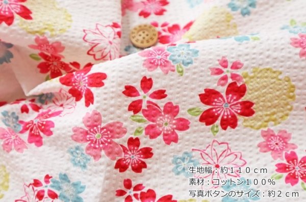 Photo2: 【1米 價格】🟫日本製｜💢 非 現貨｜🇯🇵 日本製｜100% 棉 波紋布｜和柄 和風 日式 櫻花｜2025年 3月 (2)