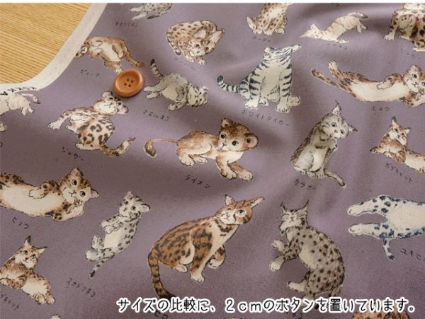 Photo4: 【1米 價格】🟤日本製｜💢 非 現貨｜100% 棉 ~ 牛津布｜動物布 貓 貓咪百科全書｜2025年 5月 (4)
