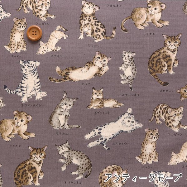 Photo6: 【1米 價格】🟤日本製｜💢 非 現貨｜100% 棉 ~ 牛津布｜動物布 貓 貓咪百科全書｜2025年 5月 (6)
