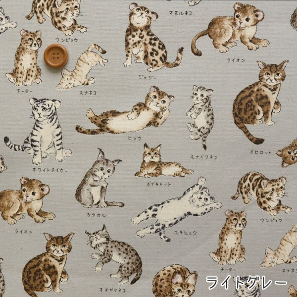 Photo7: 【1米 價格】🟤日本製｜💢 非 現貨｜100% 棉 ~ 牛津布｜動物布 貓 貓咪百科全書｜2025年 5月 (7)