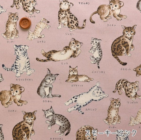 Photo5: 【1米 價格】🟤日本製｜💢 非 現貨｜100% 棉 ~ 牛津布｜動物布 貓 貓咪百科全書｜2025年 5月 (5)