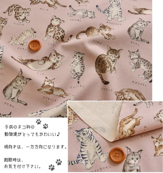 Photo2: 【1米 價格】🟤日本製｜💢 非 現貨｜100% 棉 ~ 牛津布｜動物布 貓 貓咪百科全書｜2025年 5月 (2)