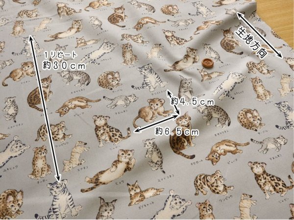 Photo3: 【1米 價格】🟤日本製｜💢 非 現貨｜100% 棉 ~ 牛津布｜動物布 貓 貓咪百科全書｜2025年 5月 (3)