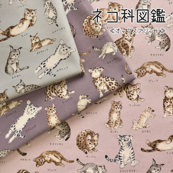 Photo1: 【1米 價格】🟤日本製｜💢 非 現貨｜100% 棉 ~ 牛津布｜動物布 貓 貓咪百科全書｜2025年 5月 (1)