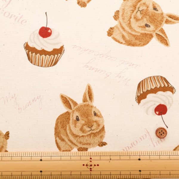 Photo6: 【1米 價格】🟡日本製｜💢 非 現貨｜100% 棉 ~ 牛津布｜兔子蛋糕 ｜2025年 5月 (6)