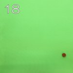 Photo3: 【1米 價格】🟡日本製｜💢 非 現貨｜100% polyester ~ 牛津布 *不防水｜螢光素色 ｜2025年 5月 (3)