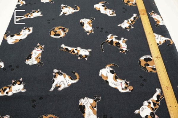 Photo3: 【1米 價格】🟡日本製｜💢 非 現貨｜100% 棉 ~ 牛津布｜動物 貓 三色貓 calico cat｜2025年 5月 (3)