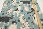 Photo4: 【1米 價格】日本製｜💢 非 現貨｜85% 棉、15% 麻｜動物 貓 圓點｜2025年 5月 (4)