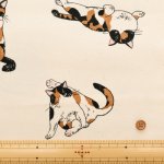 Photo4: 【1米 價格】🟡日本製｜💢 非 現貨｜100% 棉 ~ 牛津布｜動物 貓 三色貓 calico cat｜2025年 5月 (4)