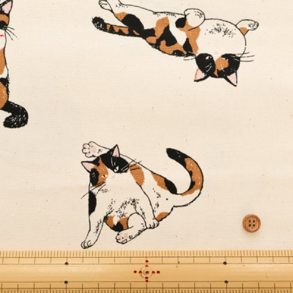 Photo4: 【1米 價格】🟡日本製｜💢 非 現貨｜100% 棉 ~ 牛津布｜動物 貓 三色貓 calico cat｜2025年 5月 (4)