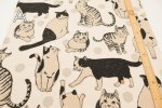 Photo2: 【1米 價格】日本製｜💢 非 現貨｜85% 棉、15% 麻｜動物 貓 圓點｜2025年 5月 (2)