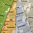 Photo1: 【1米 價格】🟤日本製｜💢 非 現貨｜100% 棉 ~ 牛津布｜動物 貓 報紙｜2025年 5月 (1)