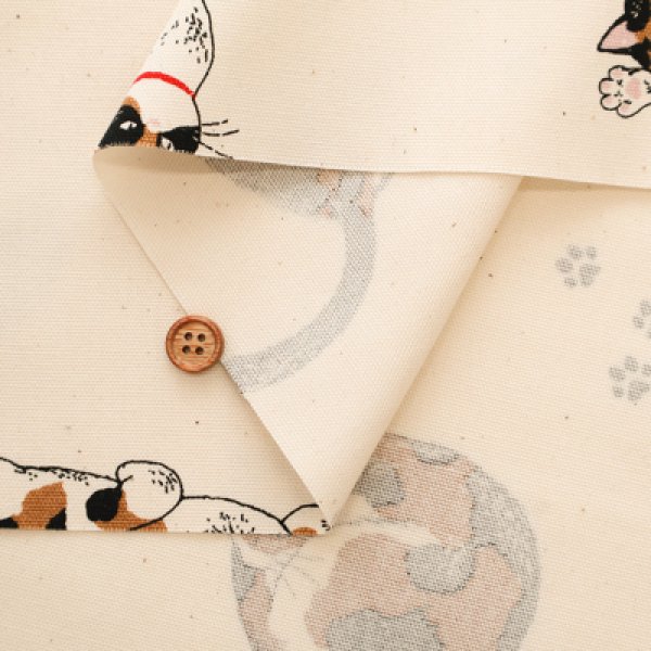 Photo5: 【1米 價格】🟡日本製｜💢 非 現貨｜100% 棉 ~ 牛津布｜動物 貓 三色貓 calico cat｜2025年 5月 (5)