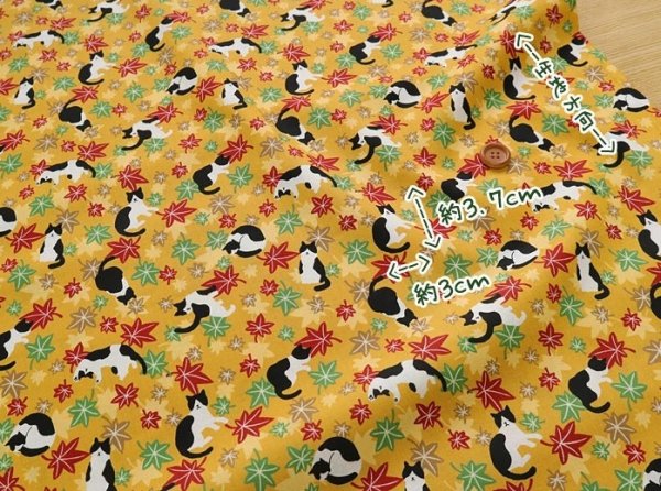 Photo4: 【1米 價格】🟤日本製｜💢 非 現貨｜100% 棉 ~薄｜動物 貓 黑白貓咪與秋葉｜2025年 5月 (4)
