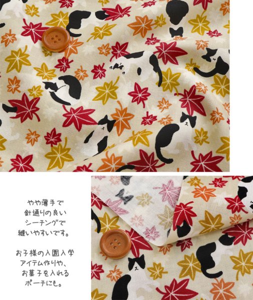 Photo2: 【1米 價格】🟤日本製｜💢 非 現貨｜100% 棉 ~薄｜動物 貓 黑白貓咪與秋葉｜2025年 5月 (2)
