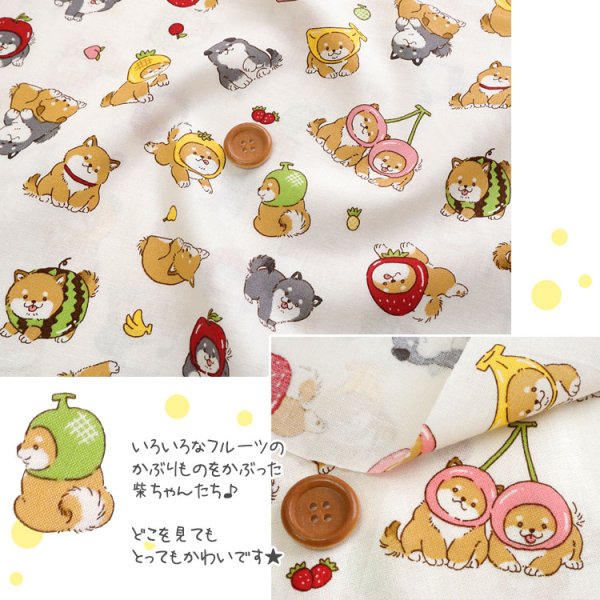 Photo2: 【1米 價格】🟤日本製｜💢 非 現貨｜100% 棉 ~薄 泡泡紗布料｜動物 犬 柴犬 小狗 Cosplay｜2025年 5月 (2)