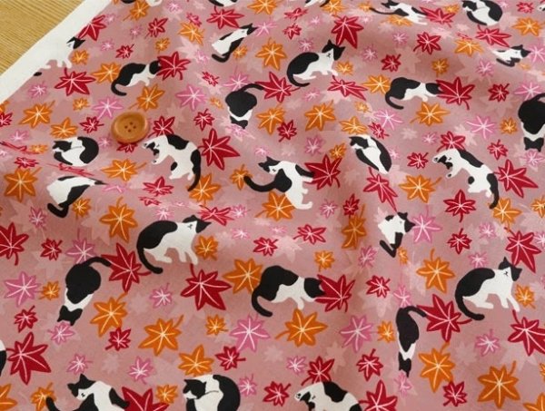 Photo3: 【1米 價格】🟤日本製｜💢 非 現貨｜100% 棉 ~薄｜動物 貓 黑白貓咪與秋葉｜2025年 5月 (3)