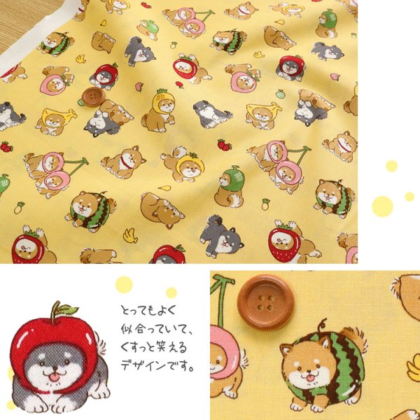 Photo3: 【1米 價格】🟤日本製｜💢 非 現貨｜100% 棉 ~薄 泡泡紗布料｜動物 犬 柴犬 小狗 Cosplay｜2025年 5月 (3)