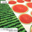 Photo4: 【1米 價格】🟢日本製｜💢 非 現貨｜布料 : 100% 棉 ~ 薄棉｜西瓜 夏天｜2025年 6月 (4)