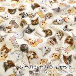 Photo1: 【1米 價格】🟤日本製｜💢 非 現貨｜布料 : 100% 棉 噴墨印花｜貓 動物｜2025年 7月 (1)