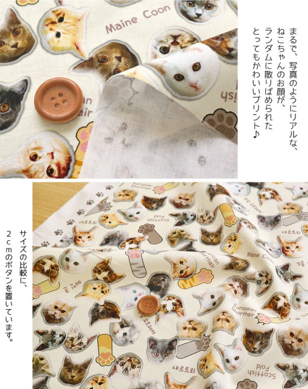 Photo2: 【1米 價格】🟤日本製｜💢 非 現貨｜布料 : 100% 棉 噴墨印花｜貓 動物｜2025年 7月 (2)