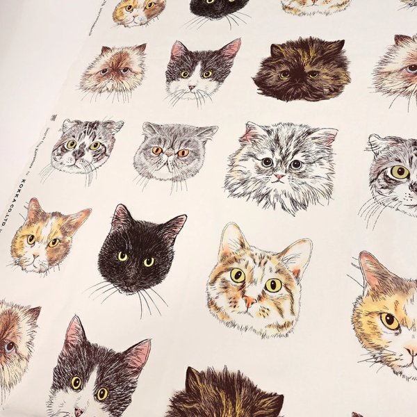 Photo2: 【1米 價格】🔴日本製｜💢 非 現貨｜🇯🇵 日本製｜100% 棉 ~ 薄｜貓 動物｜2025年 8月 (2)