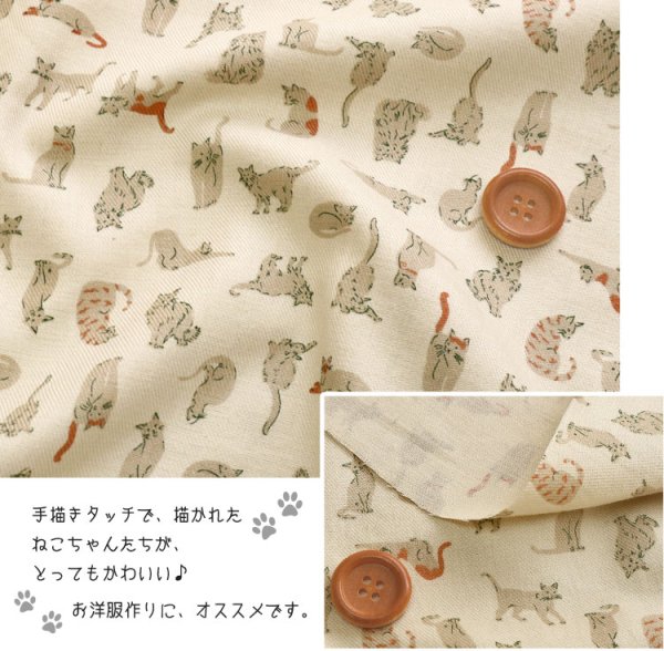 Photo4: 【1米 價格】🟤日本製｜💢 非 現貨｜🇯🇵 日本製｜100% 棉 ~ 薄｜天使軟加工｜貓 動物｜2025年 8月 (4)