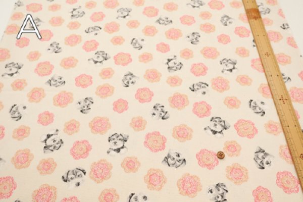 Photo4: 【1米 價格】🟡日本製｜💢 非 現貨｜🇯🇵 日本製｜100% 棉 ~ 薄｜Schnauzer 史納莎｜2025年 8月 (4)