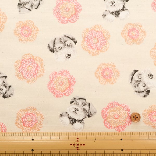 Photo3: 【1米 價格】🟡日本製｜💢 非 現貨｜🇯🇵 日本製｜100% 棉 ~ 薄｜Schnauzer 史納莎｜2025年 8月 (3)