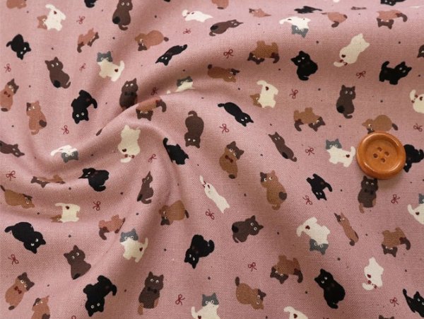 Photo3: 【1米 價格】🟤日本製｜💢 非 現貨｜🇯🇵 日本製｜100% 棉 ~ 薄棉｜可愛小貓咪 動物 貓｜2025年 10月 (3)