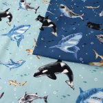 Photo1: 【1米 價格】🔴日本製｜💢 非 現貨｜🇯🇵 日本製｜100% 棉 ~ 牛津布｜海洋生物 鯨魚 ｜2025年 11月 (1)