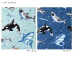 Photo2: 【1米 價格】🔴日本製｜💢 非 現貨｜🇯🇵 日本製｜100% 棉 ~ 牛津布｜海洋生物 鯨魚 ｜2025年 11月 (2)