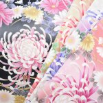 Photo1: 【1米 價格】🟡日本製｜💢 非 現貨｜🇯🇵 日本製｜100% 棉 ~ 薄｜菊｜2025年 11月 (1)