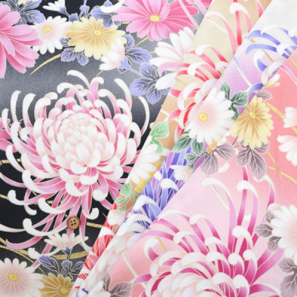 Photo1: 【1米 價格】🟡日本製｜💢 非 現貨｜🇯🇵 日本製｜100% 棉 ~ 薄｜菊｜2025年 11月 (1)