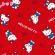 Photo1: 【1米 價格】🟣日本製｜💢 非 現貨｜🇯🇵 日本製｜100% 棉 ~ 牛津布｜Sanrio Hello Kitty｜2025年 11月 (1)