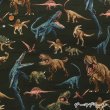Photo5: 【1米 價格】🟡日本製｜💢 非 現貨｜🇯🇵 日本製｜100% 棉 ~ 牛津布｜恐龍 Dinosaur｜2025年 12月 (5)